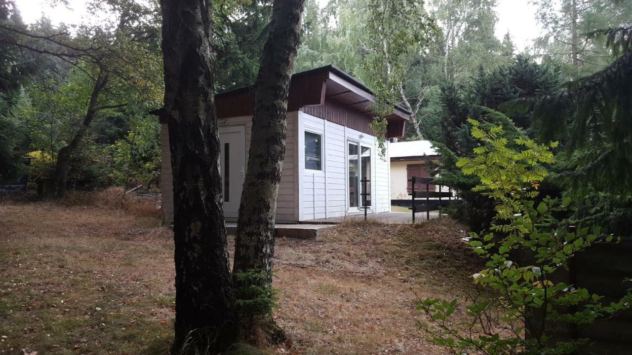 Bungalowdorf Klein Budelsdorf Altenberg  Exterior foto